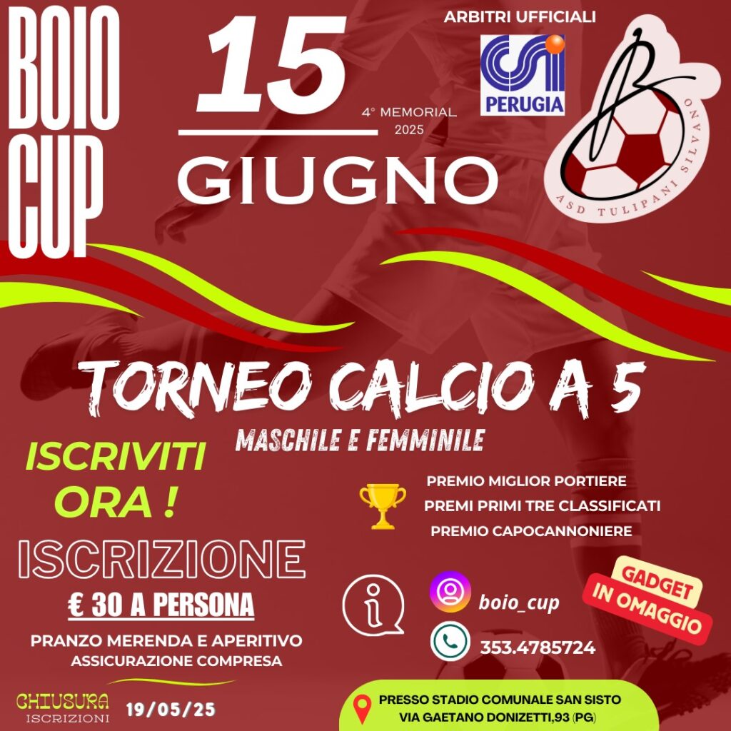 torneo c6 boio cup